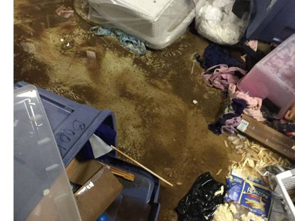 At Ballet Hispánico, the impact of a water main break is dramatic. Photo: Joshua Preston