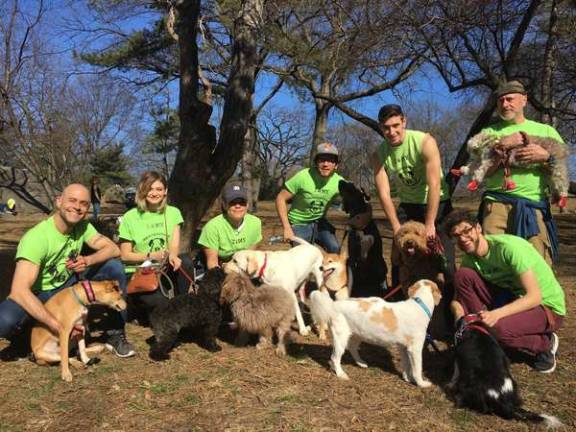 Benterprise is a dog walking service started in 2016 by Ben Chaplin