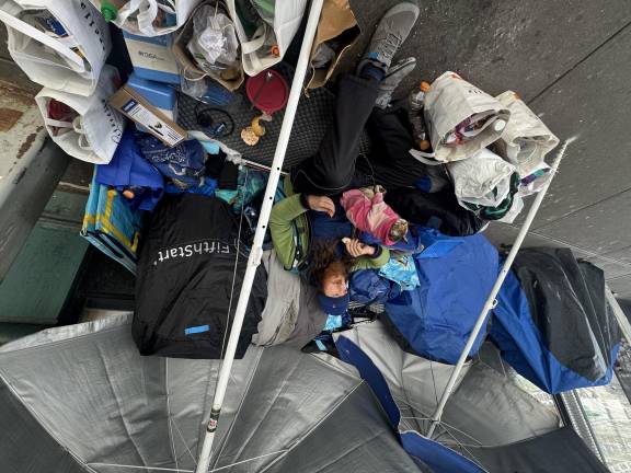 The day after Ethan, or Freckles as he is known, was back at his old spot.