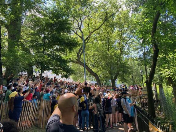 Photo op: crowds turned out for the goats’ return. Photo courtesy of Riverside Park Conservancy