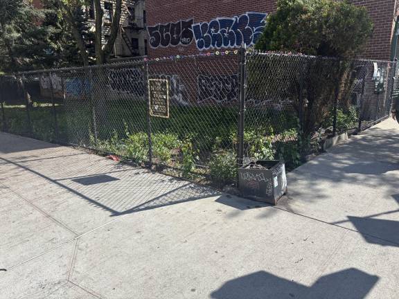 An argument erupted inside Sal’s Deli on E. 13th and Ave. B, and spilled across the street where worker Abdul Saleh and another man suffered gun shot wounds on April 25. Saleh died.