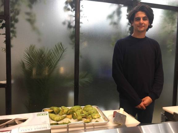 Both Avocaderia locations go through about 200 pounds of avocados each day, with the fruit a main ingredient in salads, smoothies, sandwiches and even cheesecake. Photo: Michael DeSantis