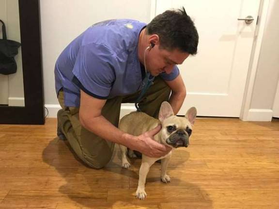 Dr. Jonathan Leshanski started his home-based veterinary services for owners and pets who might not be able to make it out to an office