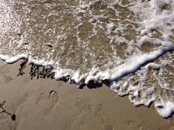 Photo: Caroline Rothstein