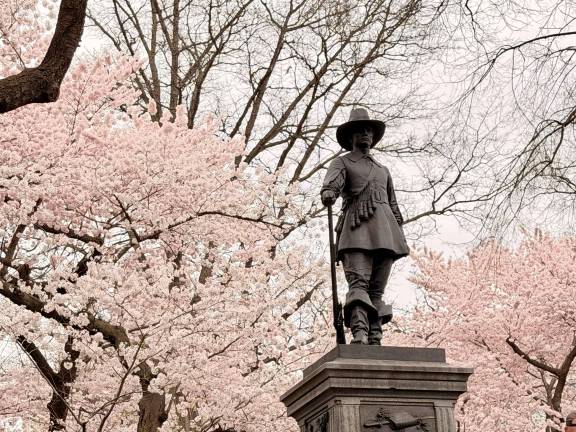 The Pilgrim on East 72nd Street Central Park is surrounded by pink blossoms this time of year.