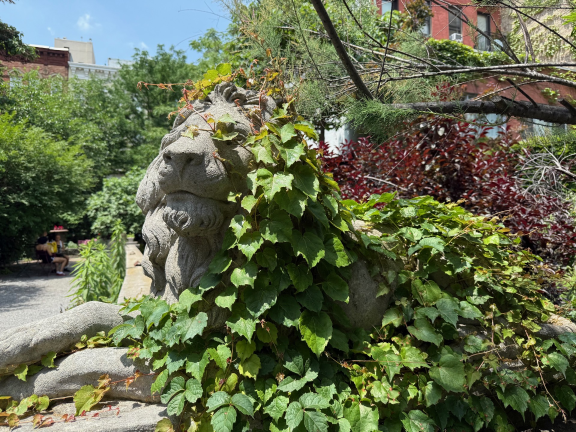 A lion in summer.