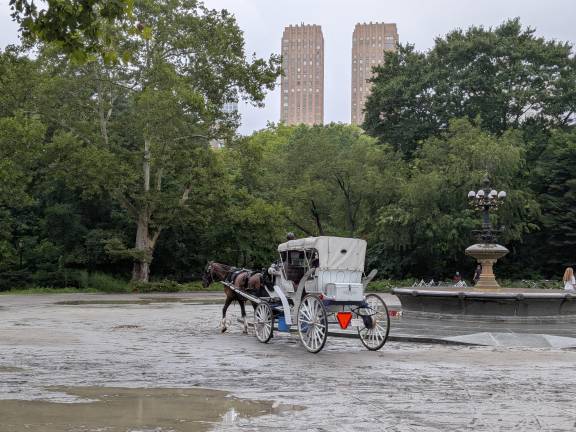 Bethesda Fountain at Carnegie Hill from where a horse bolted, causing the death of Romanch.