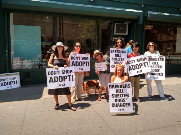 Protesting a West Side Pet Shop