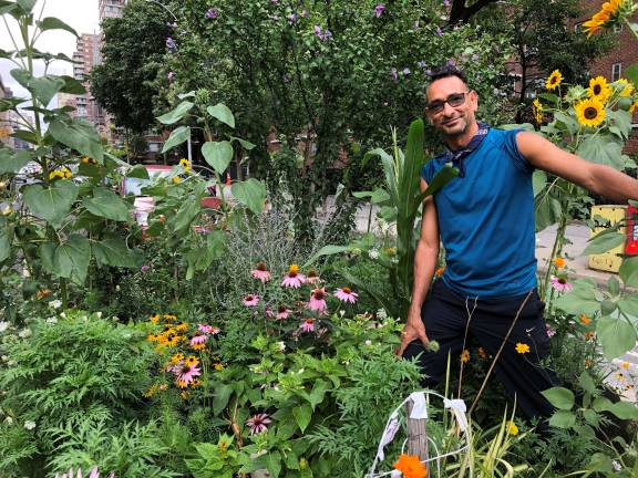 Luis Lujan, a member of the Chelsea Garden Club, cares for five plant beds in the neighborhood, but has overseen as many as nine. Photo: Ashad Hajela