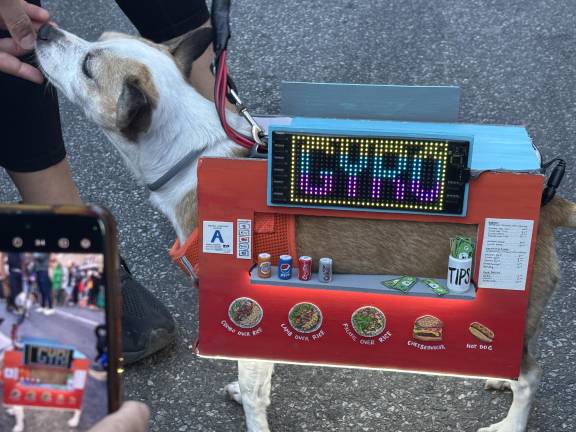 This hound is doubling as a halal food truck.