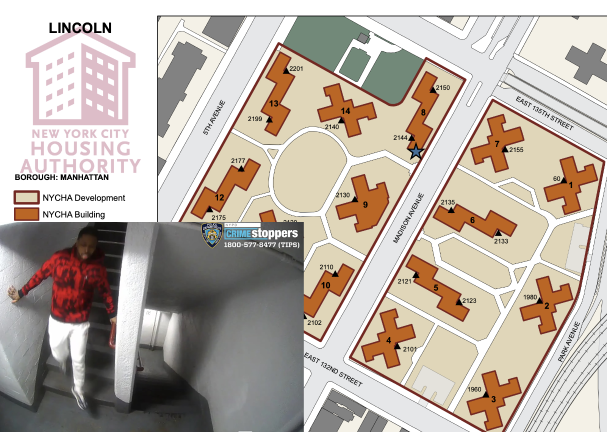 Avery Dunning on the morning of Feb. 22, 2023, in the NYCHA Lincoln Houses.