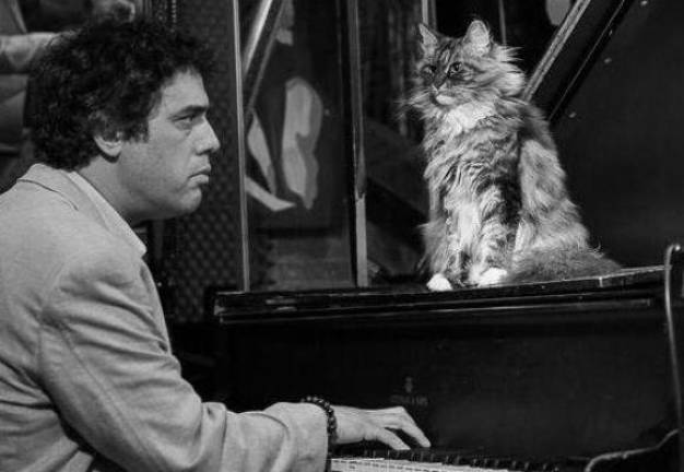 Cool cat: Spike Wilner at the piano.