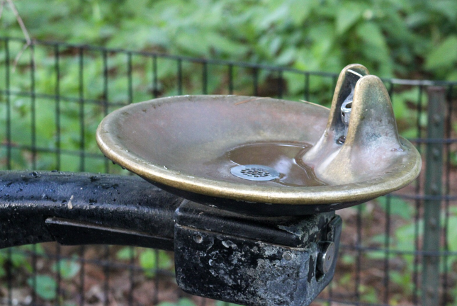 Council Member Gale Brewer sent a team of interns to discover the true state of UWS and Central Park water fountains.