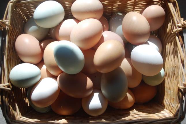 Hawking Eggs