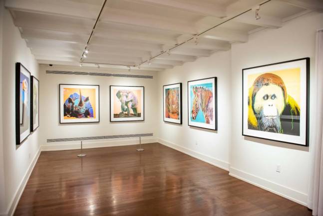 The Endangered Species series is a show-stopper. Photo: National Arts Club