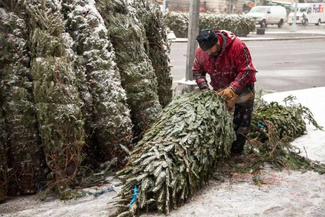 Francois, who sells christmas trees at 102nd Street and Broadway, is the subject of the documentary film &quot;Tree Man,&quot; which screens at JCC Manhattan on Dec. 8. Photo credit: Christine DiPasquale