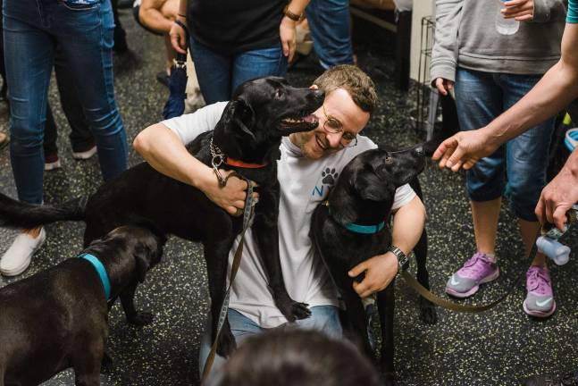 Finn &amp; Ajax with ALR volunteer Eric Knapp. Photos courtesy Stolen Glimpses