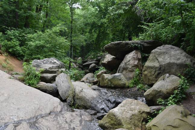 What’s Happening in the Park