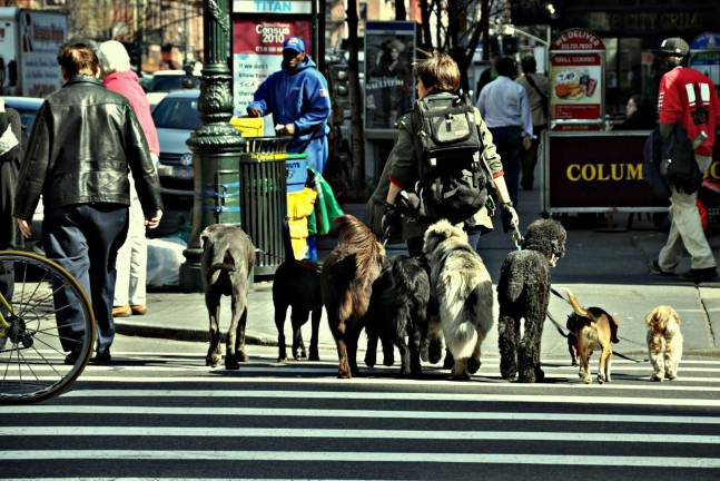 One Answer to income inequality Op-Ed