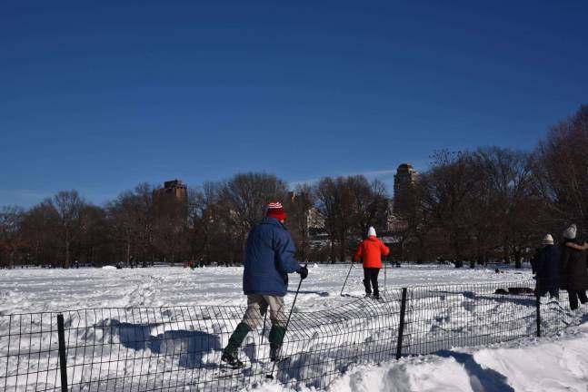 Central Park