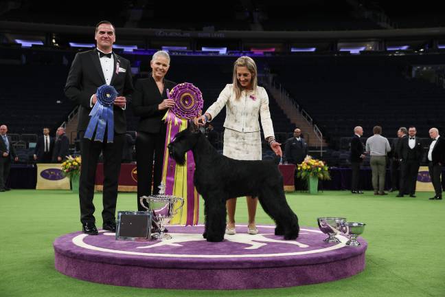 Katherine Bernardin and her Giant Schnauzer, Monty, receive the ribbon for Best in Show at the 149th Westminster Kennel Club Dog Show on Feb. 11.