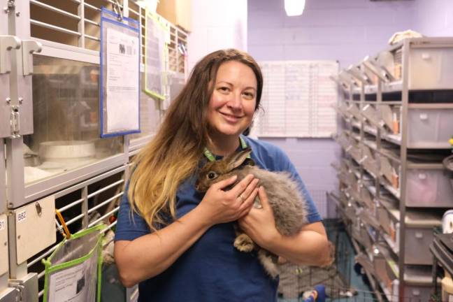 An ACC employee cares for a bunny.
