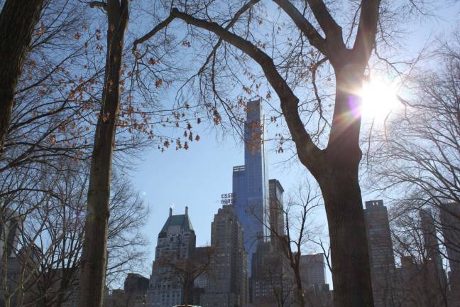 Activists are hoping to get zoning changes for the area around Central Park South to prevent more mega-towers from being built. Photo by Megan Bungeroth