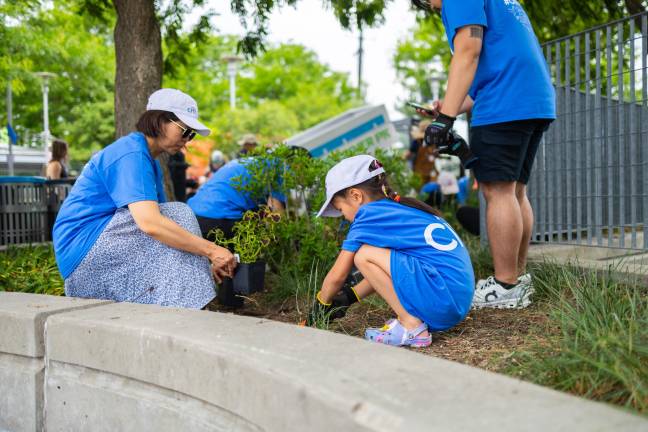 Green Team volunteers consisted of families, friends, and community members of all ages. (Credit: Hudson River Park)