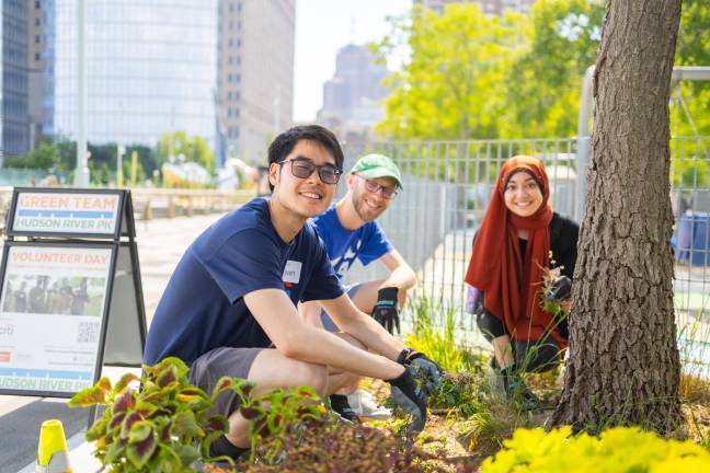 Volunteers of Citi’s ‘Green Day’ participated in a range of activities, such as weeding and planting. (Credit: Hudson River Park)