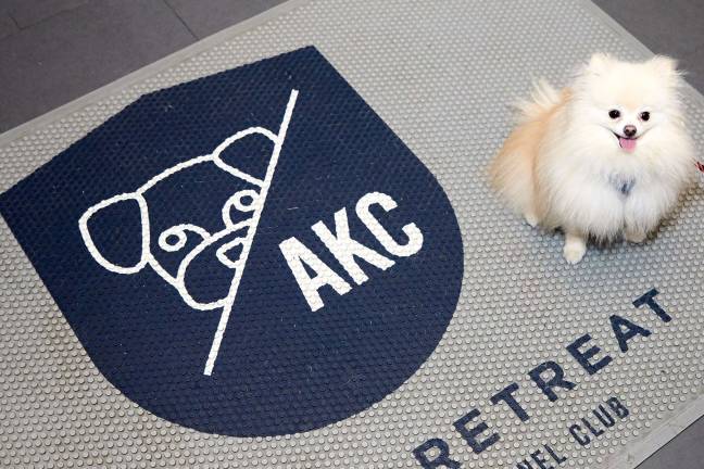At the AKC Canine Retreat launch. Photo courtesy of AKC Canine Retreat.