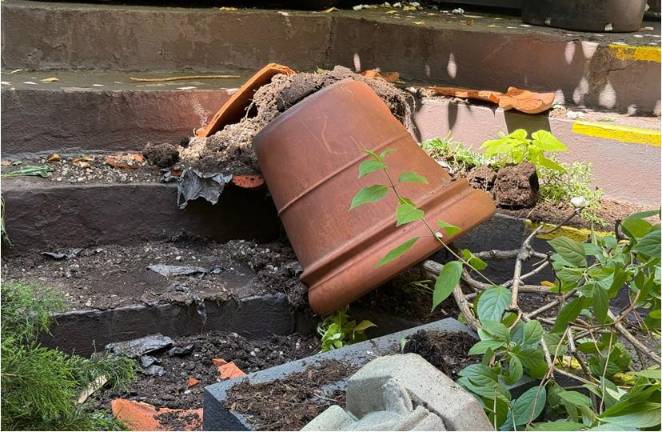 Flower pots were also overturned by a vandal who struck at St. John the Baptist R.C. Church in Chelsea, two blocks south of Madison Square Garden.