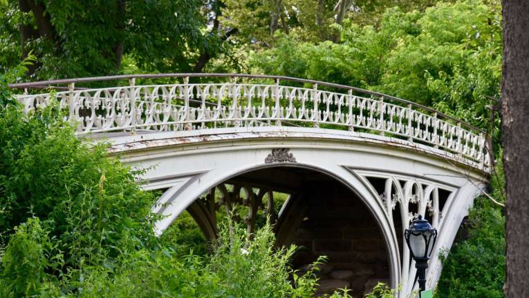 What’s Happening in Central Park