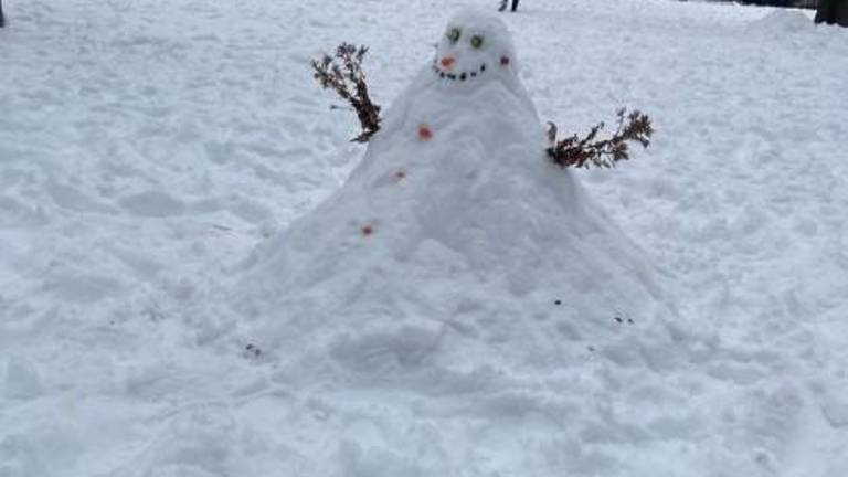 The sleet meant it was not exactly “good packing” but some intrepid souls in Carl Surz Park on the UES managed some form of a snowman.