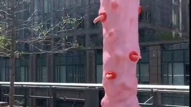 Water spouts from the top of <i>“Foot Fountain (pink)” </i>the latest public art on display on the High Line, sparking talk and some controversy over what some feel is a phallic symbol.