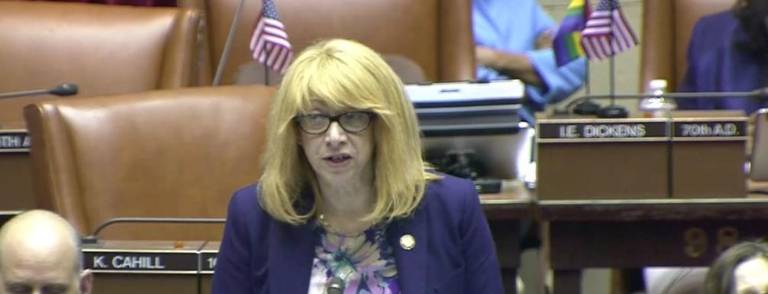 Linda Rosenthal, a 20 year veteran of the New York State Assembly has not officially declared for the soon-to be-vacant NYS Senate seat that Brad Hoylman-Sigal is vacating to become Manhattan borough president on Jan. 1.