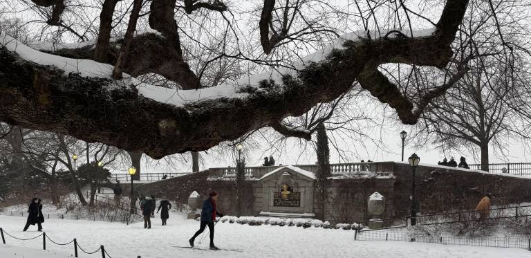 Snow blankets Central Park.