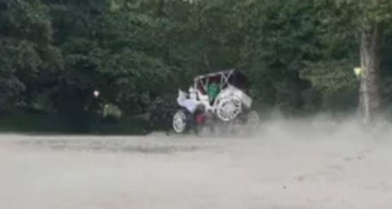 Video shows the carriage teetering on two wheels after the horse bolted after its driver disembarked to take a photo of tourists. A teen from India died from traumatic head injuries when he thrown from the carriage.