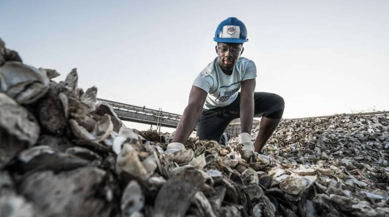 Alberto of the Billion Oyster Project sorting through a collection of oyster shells that will be deposited in the Hudson River as part of rejuvenation effort of the New York Harbor. Photo: Benjamin Von Wong