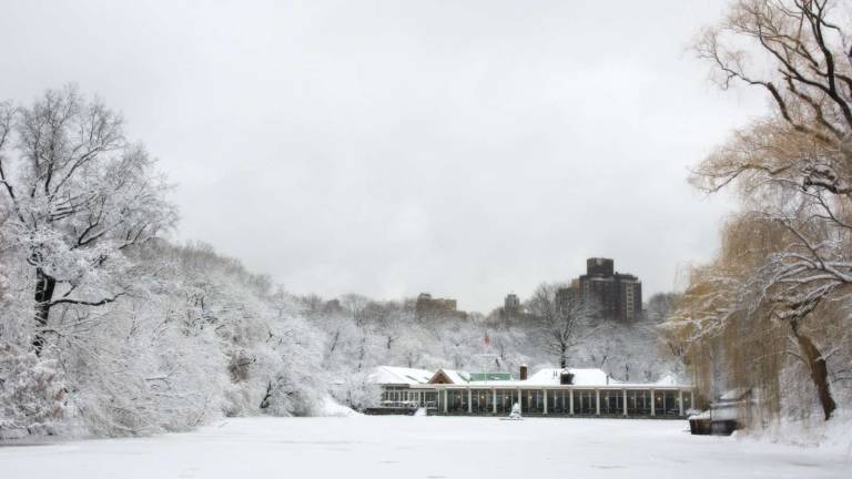 This week in Central park