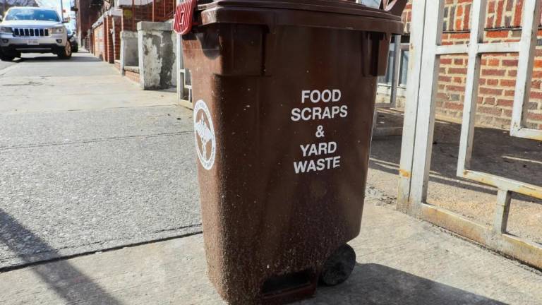 A compost bin on a street in Brooklyn.