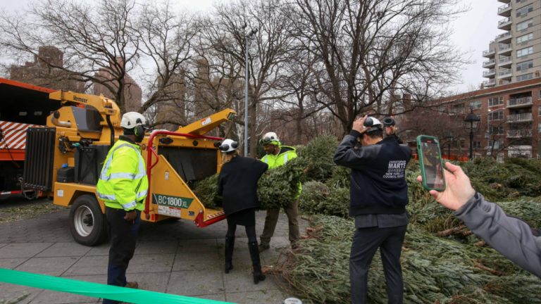 Fewer trees got the chop this year than last year, at Parks Department Mulchfest locations on the Upper West Side. But citywide, the number set a new record. Photo via the NYC Department of Sanitation’s Twitter