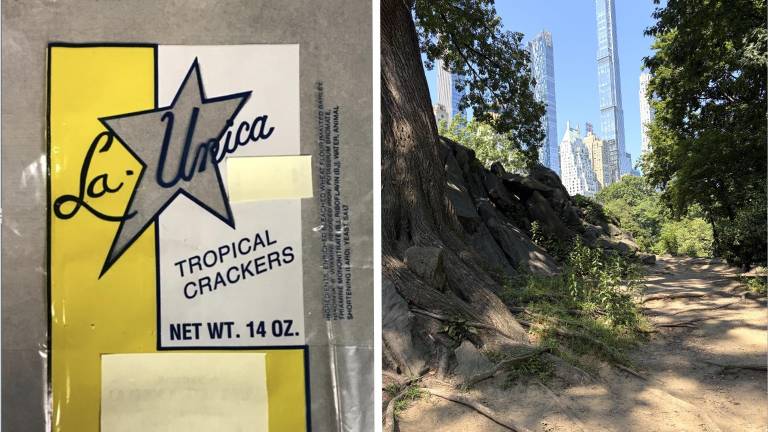 Unsolved: the identity of the bomber who put explosives in a La Unica cracker bag that detonated by these rocks in Central Park on July 3, 2016.