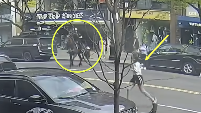 The suspect, Felicia Field, in white shirt and black shorts, is seen running from an officer who was pursuing her on horseback.