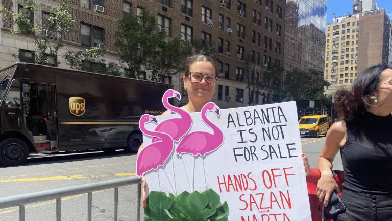 Albania Is Not For Sale: Hands Off Sazan and Narta reads a protest sign adorned with flamingos.