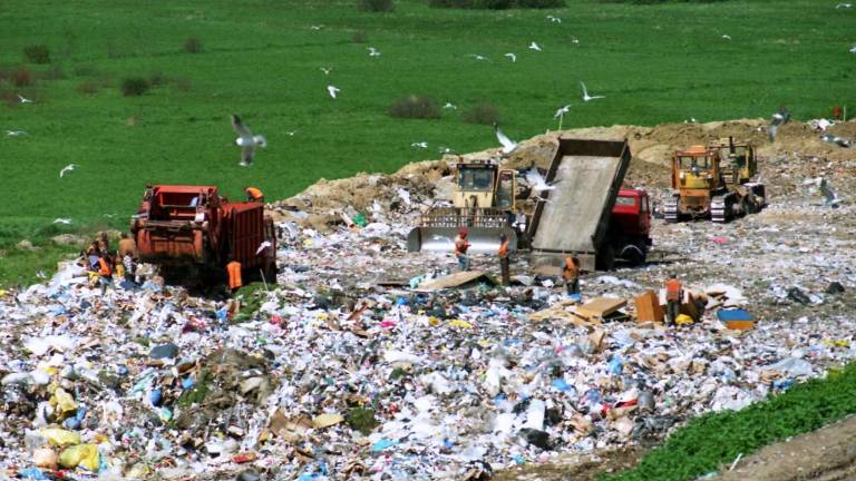 Despite the recent push, the advocacy group Beyond Plastics said that only six percent of all plastics get recycled. The rest ends up in landfills or incinerators.